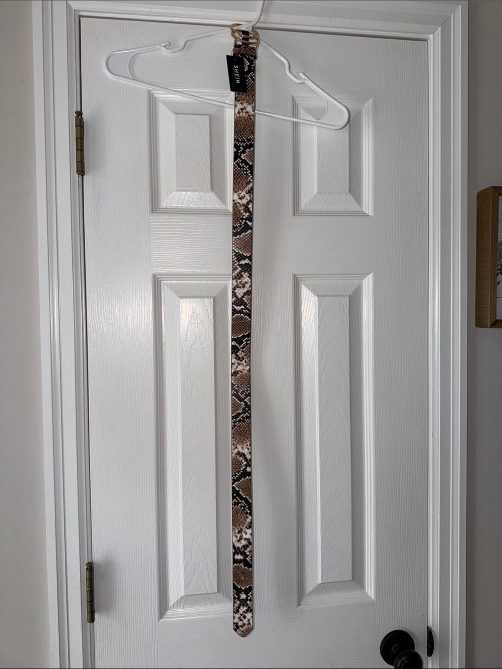 Snake Print Women’s Belt - Brown
